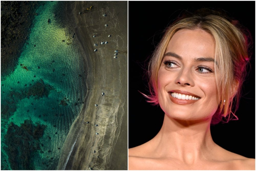 « Galapagos: The Last Eden » : Margot Robbie prête sa voix à l’expérience immersive présentée à Venise