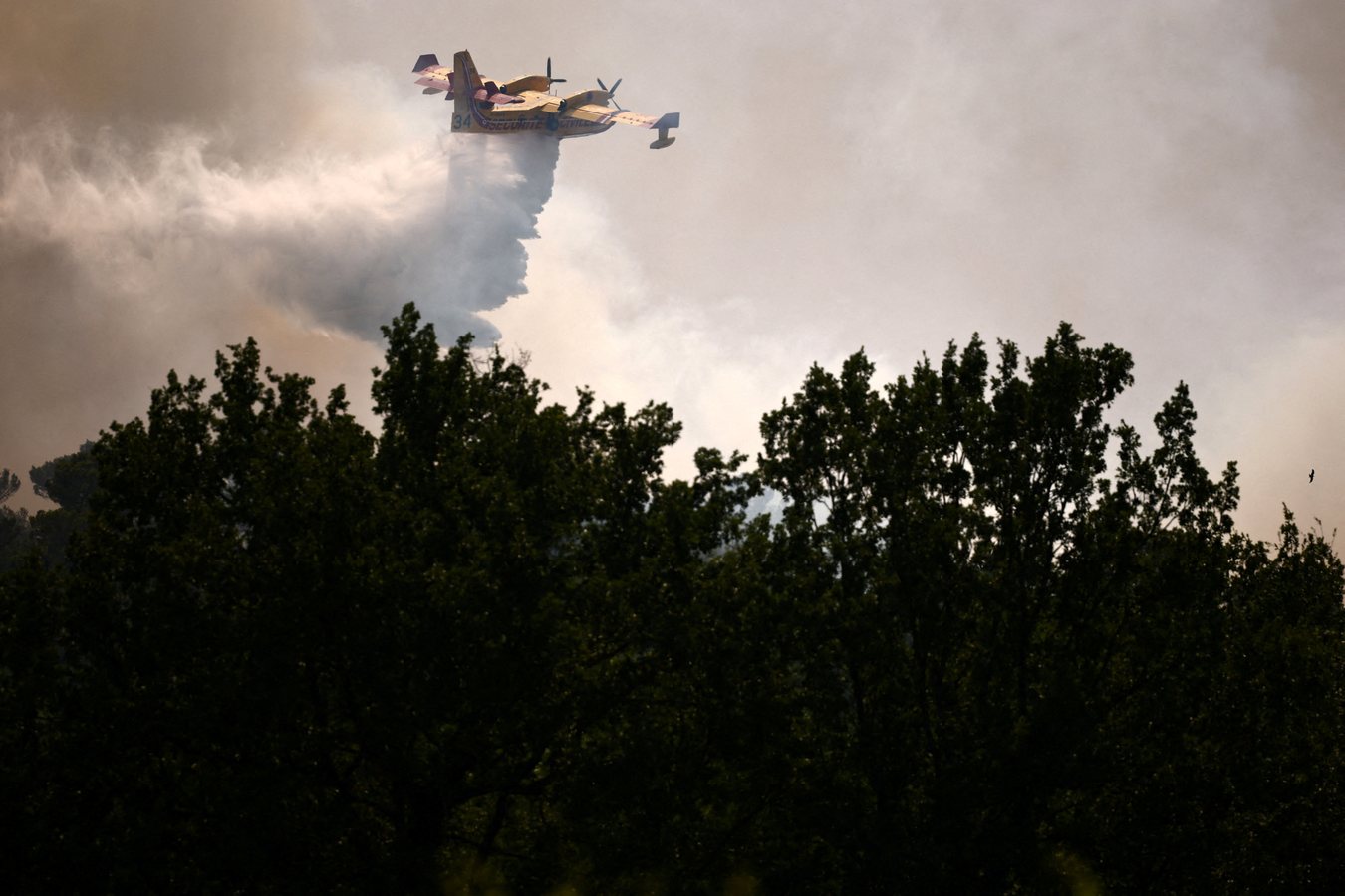 Incendie près de Carcassonne, la situation jugée « favorable » après 50 hectares brûlés