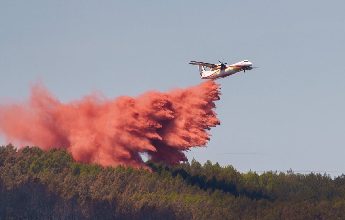 Incendies, réseaux sociaux interdits aux moins de 15 ans et démission avortée de Monique Barbut