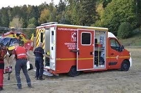 Une femme de 92 ans attaquée par des chiens au Hohwald, treize animaux saisis
