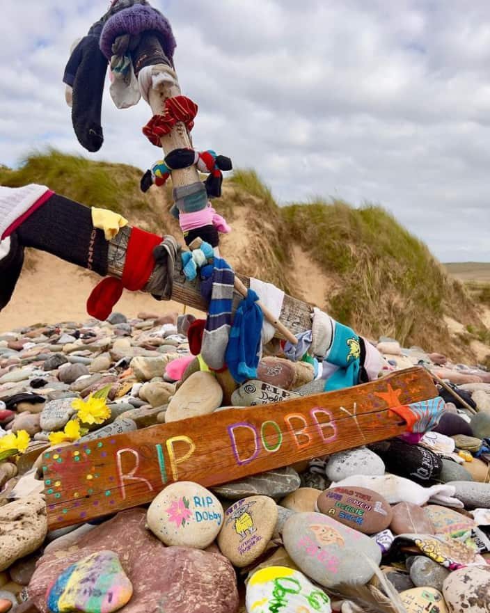 Dobby, des chaussettes et un câble électrique: l'étrange histoire de Freshwater West